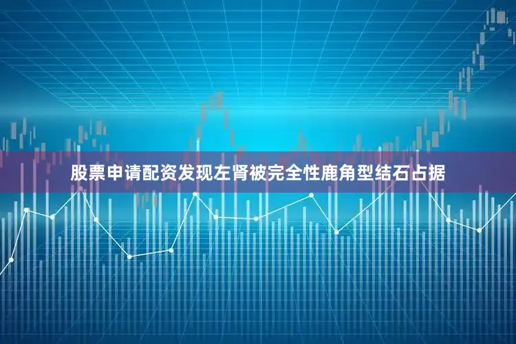 股票申请配资发现左肾被完全性鹿角型结石占据